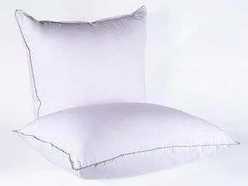Подушка Natures Серебряная мечта 70, средняя