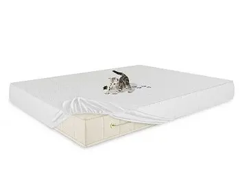 Защитный наматрасник Benartti Cotton Plus